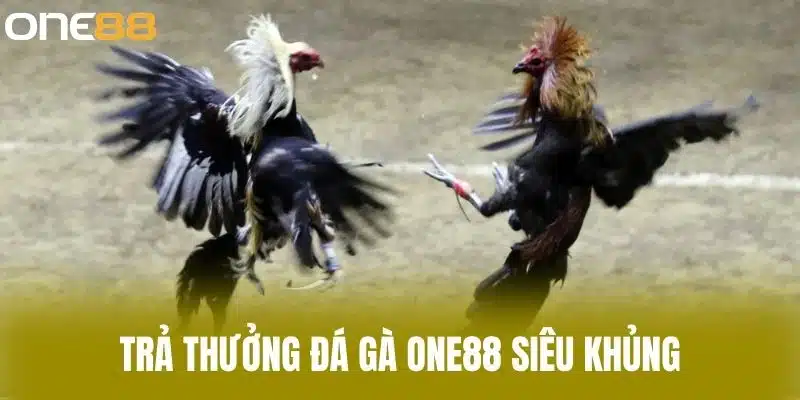 Trả thưởng đá gà one88 siêu khủng