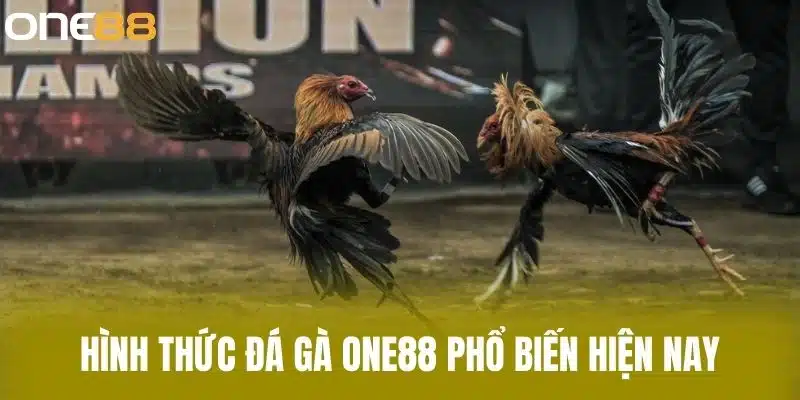 Hình thức đá gà one88 phổ biến hiện nay